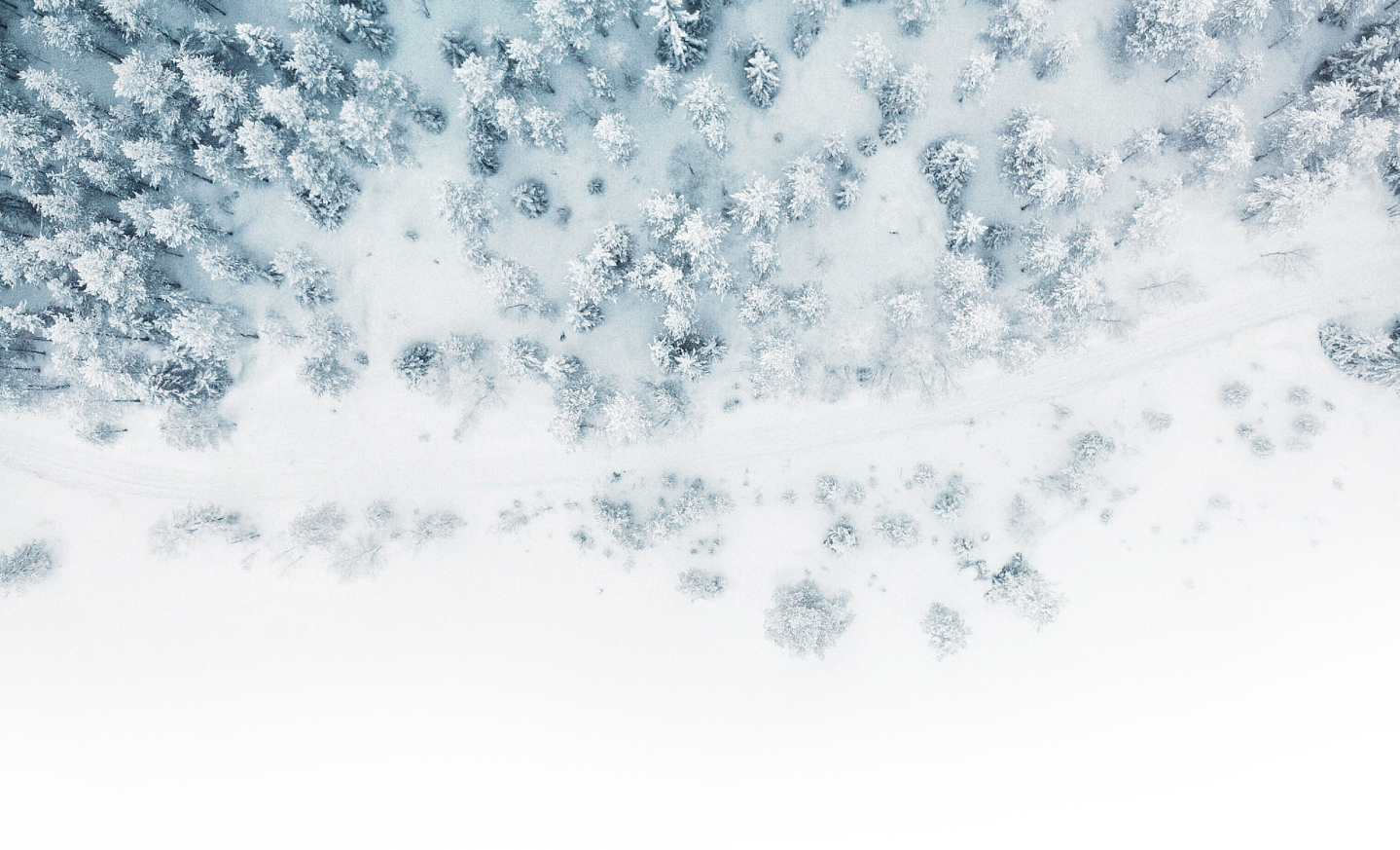 Snødekt skog i Småland